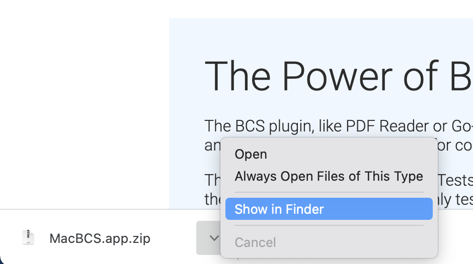 Auto download BCS